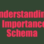 Understanding the Importance of Schema